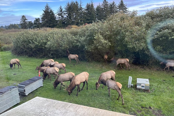 Hotel Exterior 47 of 51