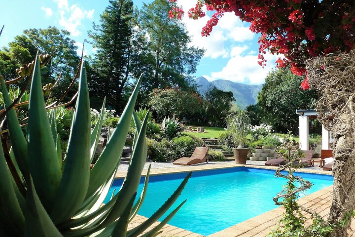 Hotel Pool