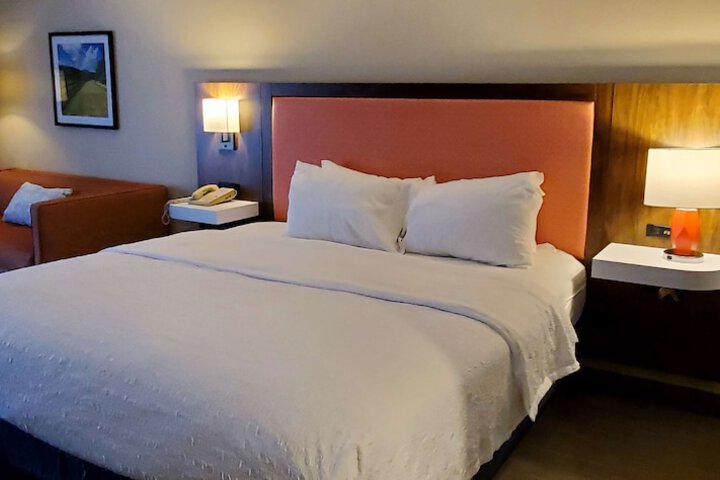 Deluxe King Bed (8 of 17)