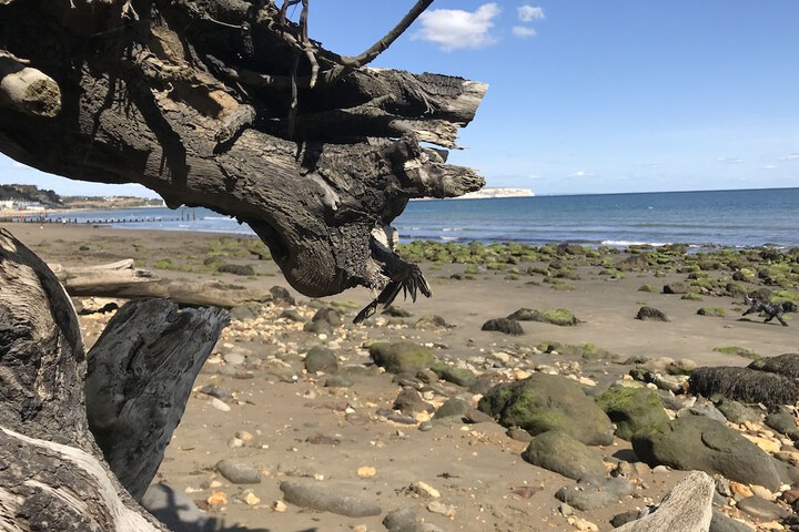 Beach 73 of 90