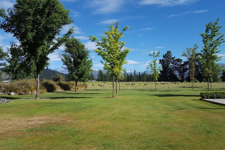 Property grounds
