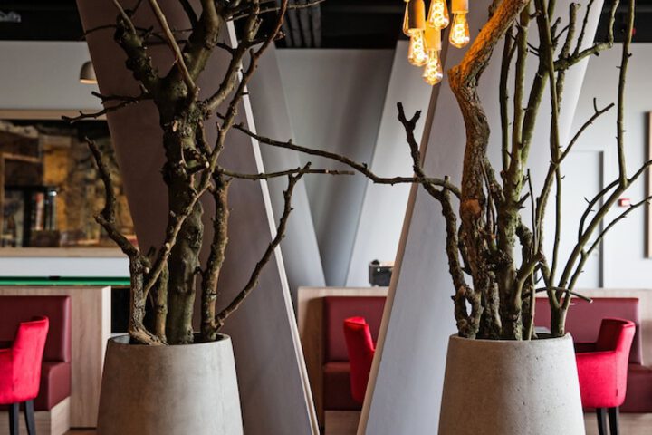 Guest Lobby
