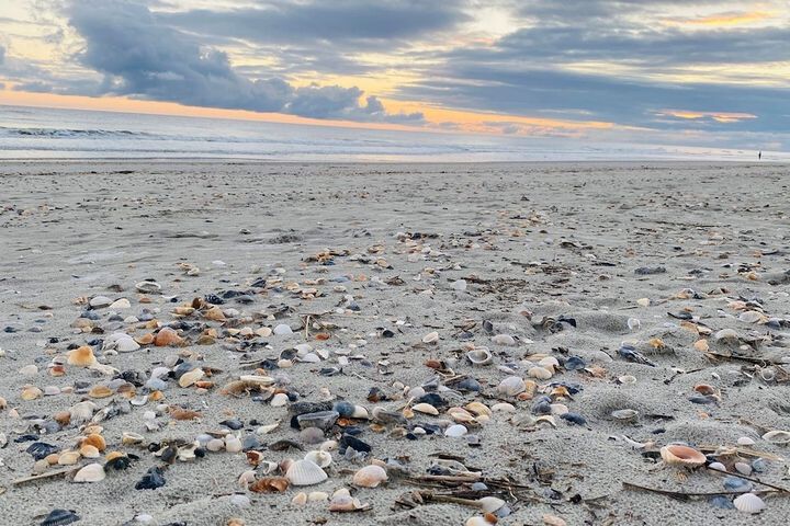 Beach 61 of 74