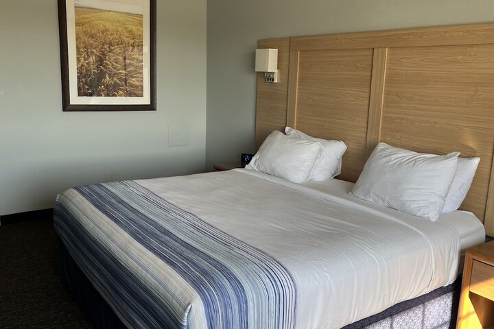 1 King Bed Accessible (8 of 28)