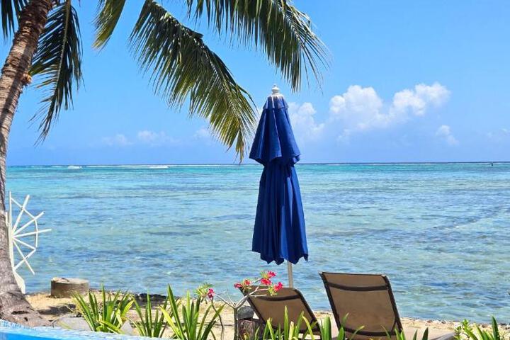Image of Secret Spot Lagoon Dream