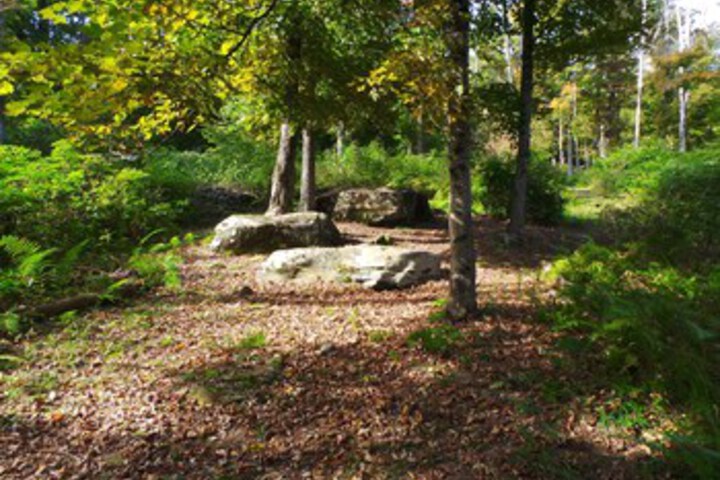 Property Grounds 235 of 246