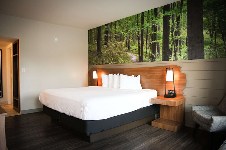 1 King Bed Theme Room Work Desk Coffee Maker Iron and Ironing Board Walk in Shower (8 of 9)