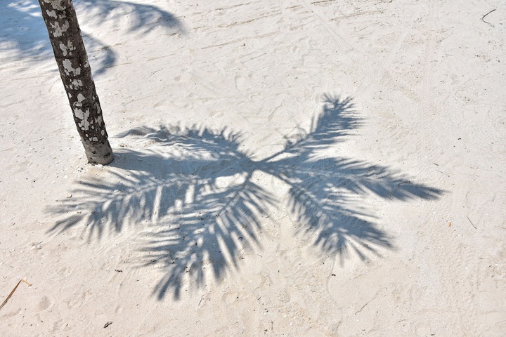 Beach 113 of 125