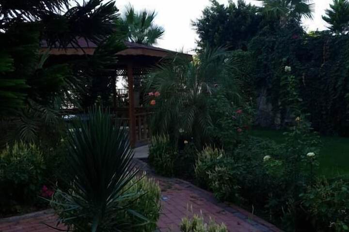 Property Grounds 17 of 22
