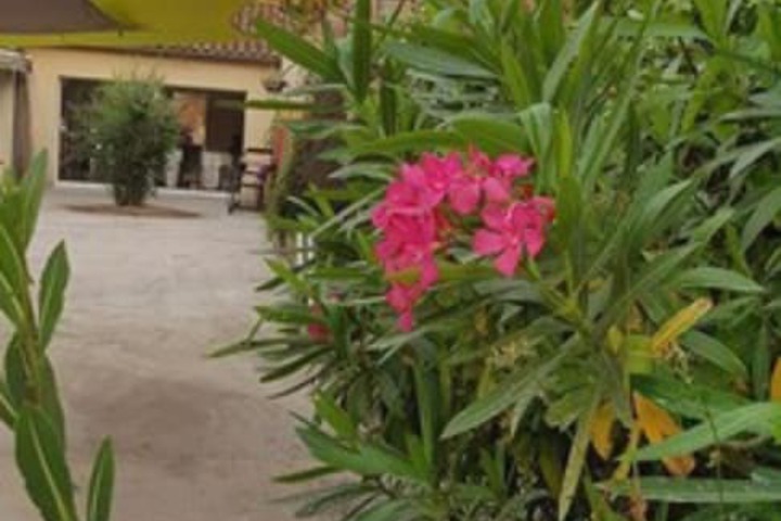 Hotel Exterior 22 of 24