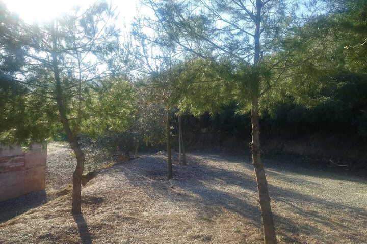 Property Grounds 37 of 52