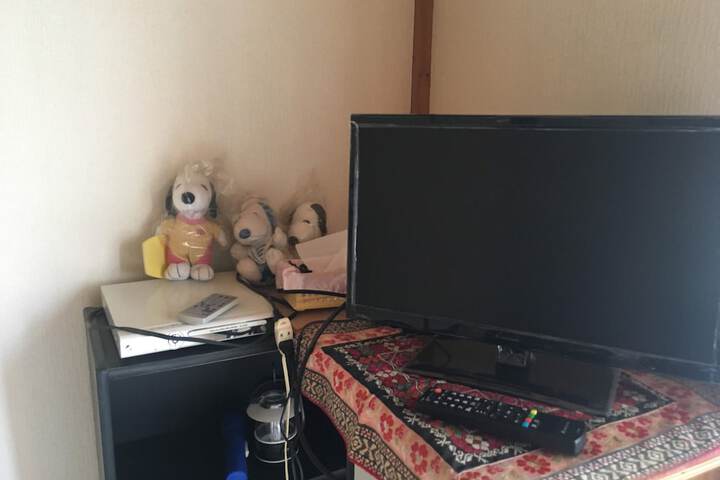 Television