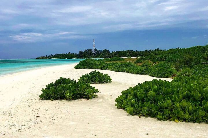 Beach 158 of 211