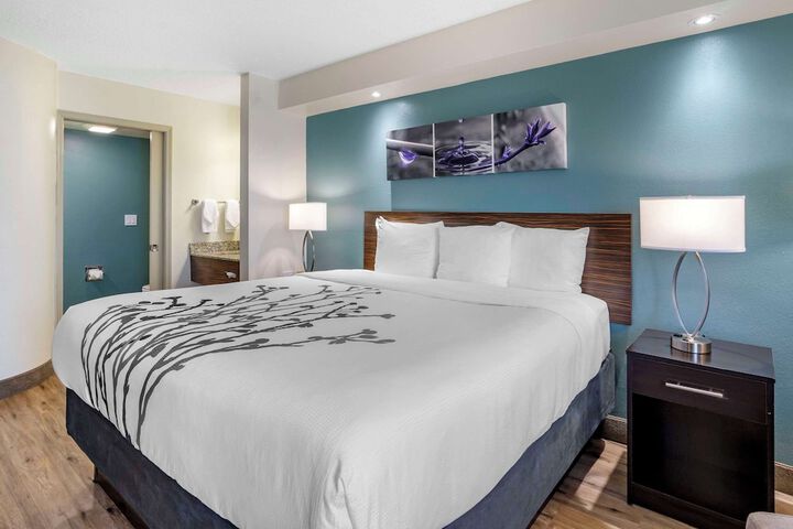 1 King Bed (5 of 10)