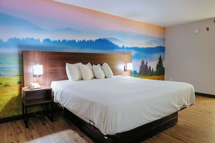 1 King Bed Accessible (2 of 24)