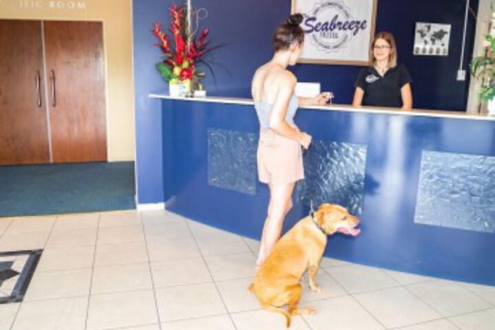 Pet Friendly 22 of 49