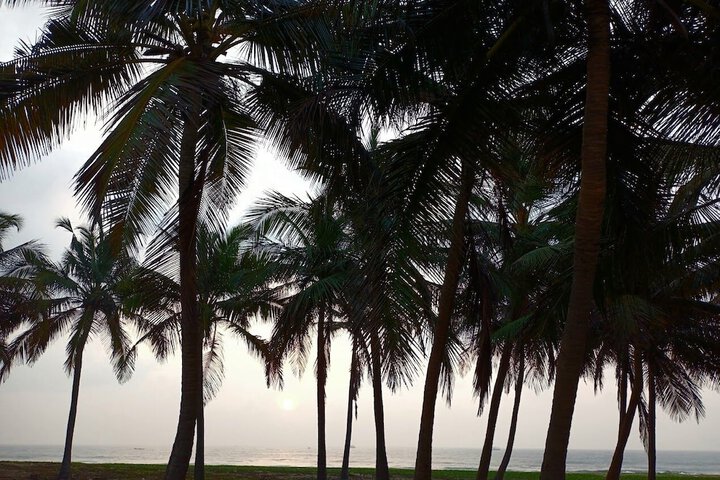 Beach 155 of 195