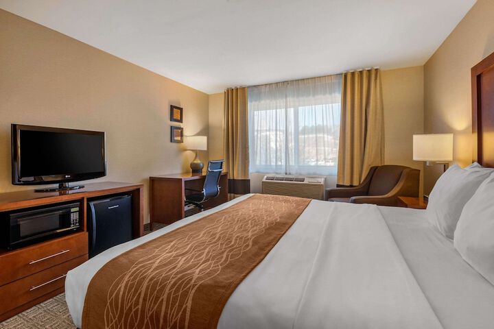 Standard | King Bed (12 of 21)