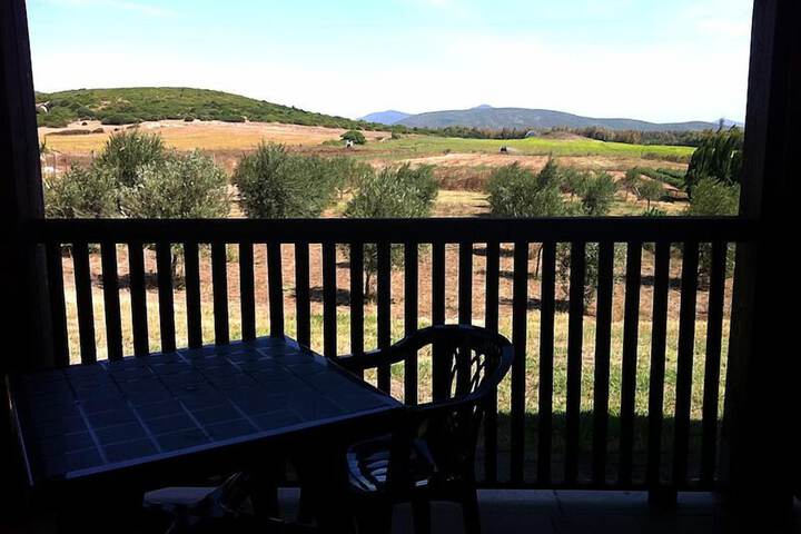 View from room