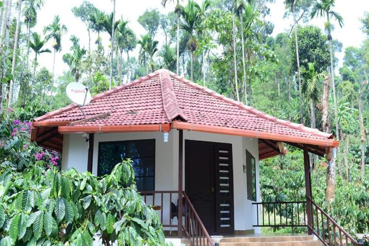 Tapasaya Coorg by StayApart Madikeri