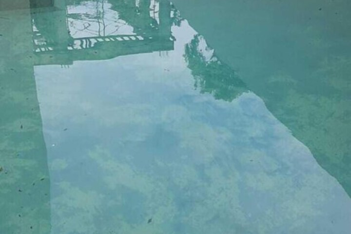 Pool 28 of 31