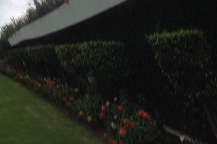 Hotel 105 of 110