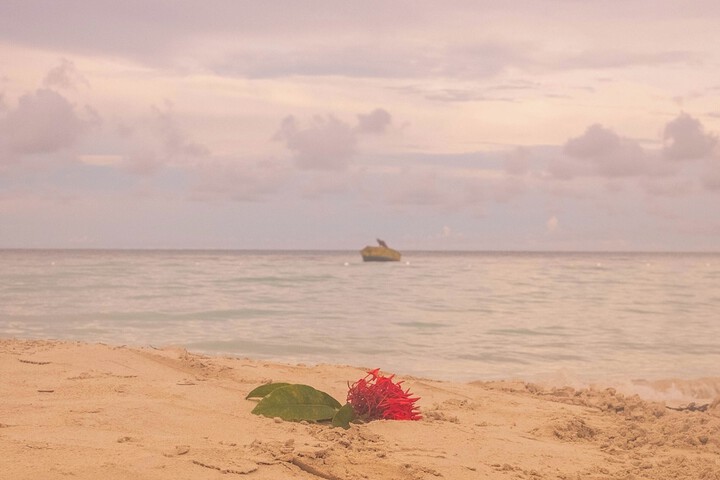 Beach 36 of 50