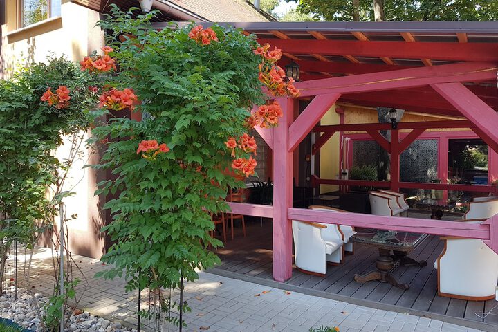 Terrace/Patio 41 of 45