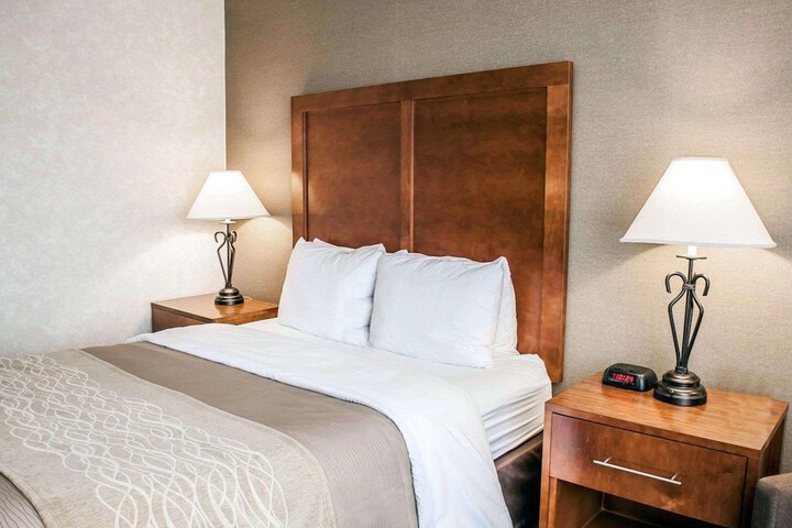 1 Queen Bed (3 of 14)