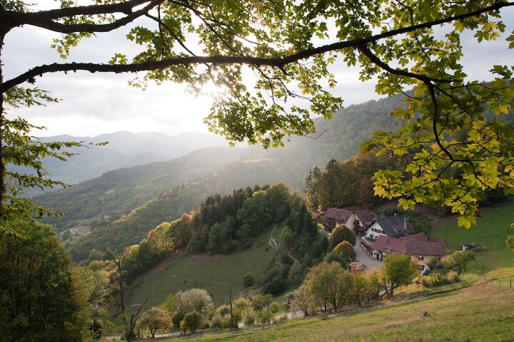 Logis Hôtel-Restaurant Auberge du Mehrbachel