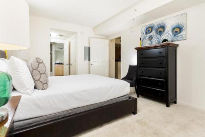Image of Stay Alfred on 14th Street