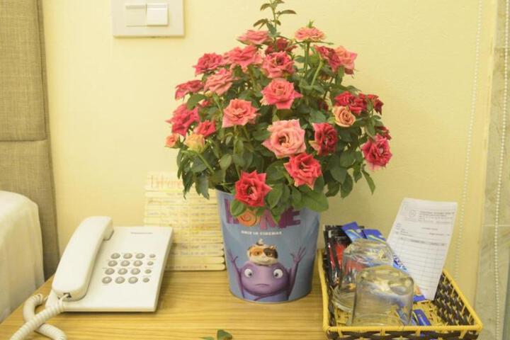 Photo 25