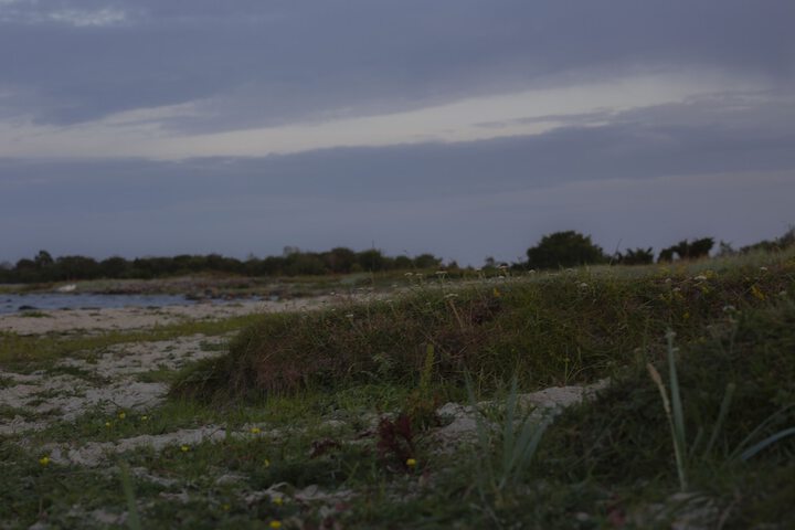 Beach 52 of 66