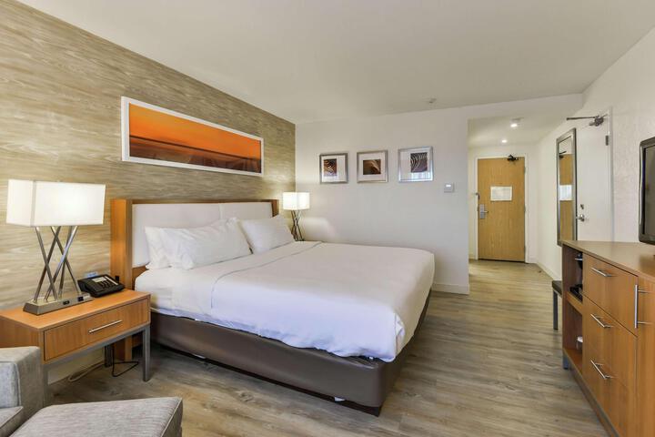 1 King Hearing Accessible with Sofa Bed (16 of 17)