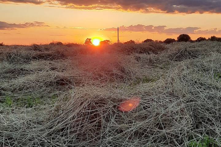 Hotel 83 of 92