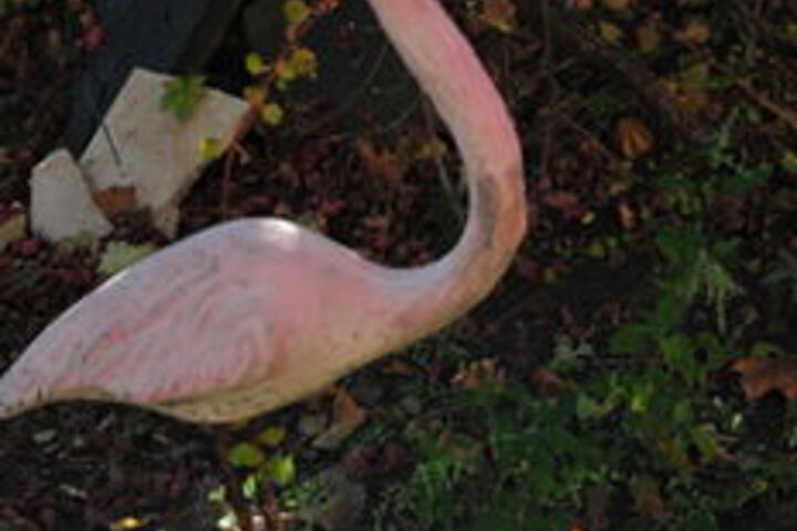 Property Grounds 46 of 48