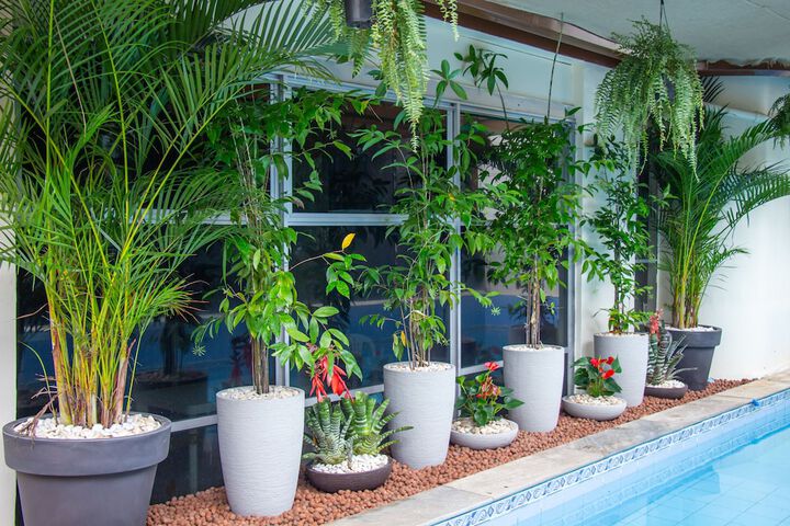 Prestige Manaus Hotel in Manaus