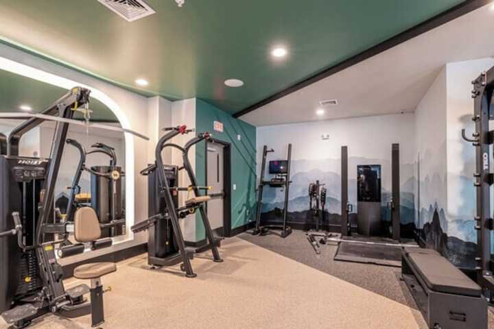 Health and Fitness 11 of 16