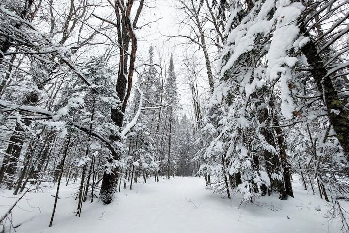 Outdoor Activities 61 of 74