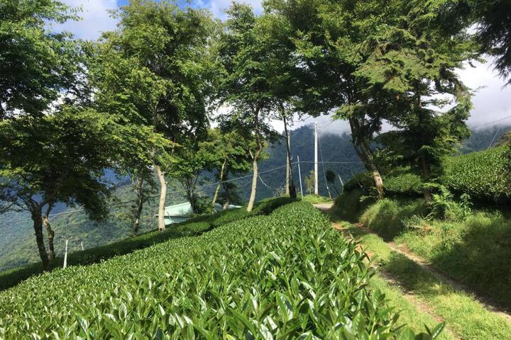 General 56 of 65