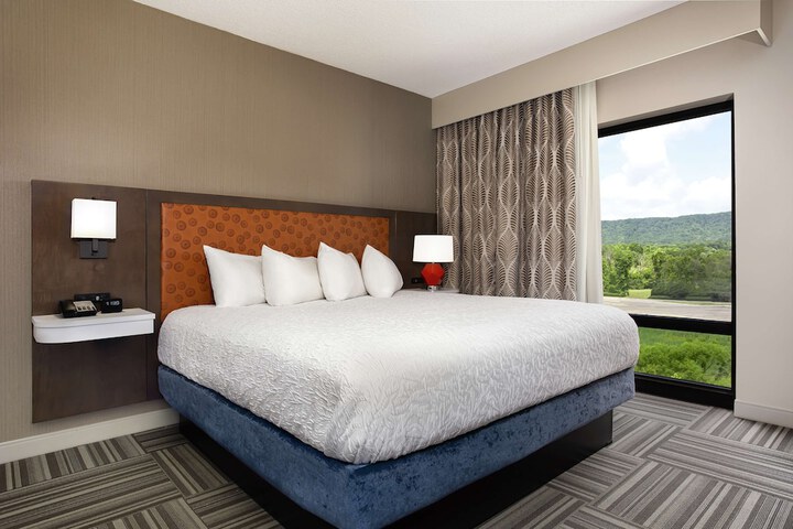 1 King Studio Suite with Microwave, Refrigerator (10 of 11)