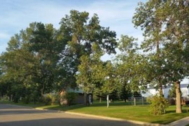 Outdoor Activities 20 of 39