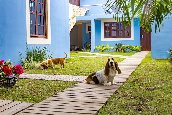 Hotel Maculís in Campeche