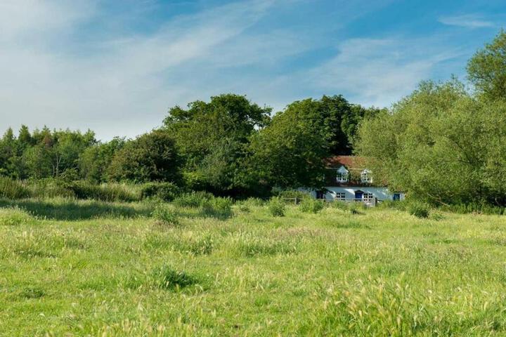 The Wobbin Remote, Comfort, Sea Views and the beautiful Essex Marshes