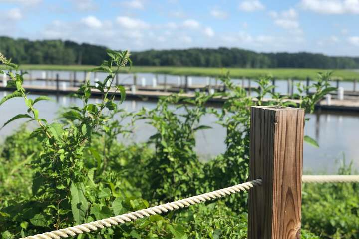 Property Grounds 17 of 30