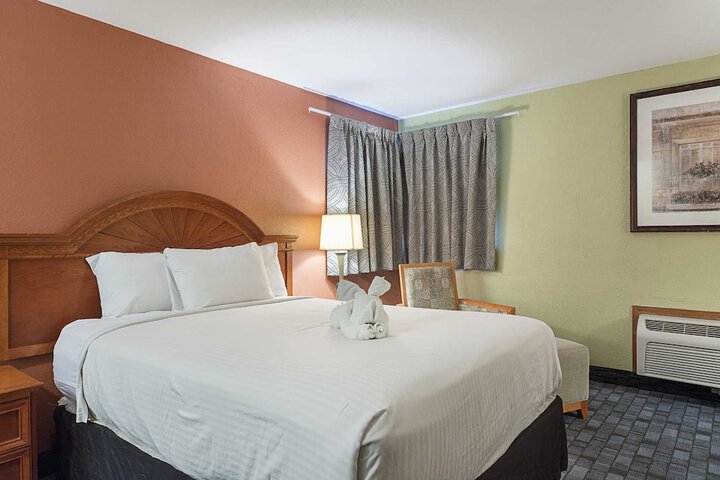 1 Queen Bed (8 of 18)