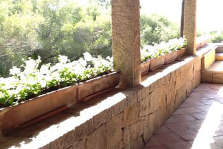 Terrace/Patio 24 of 26