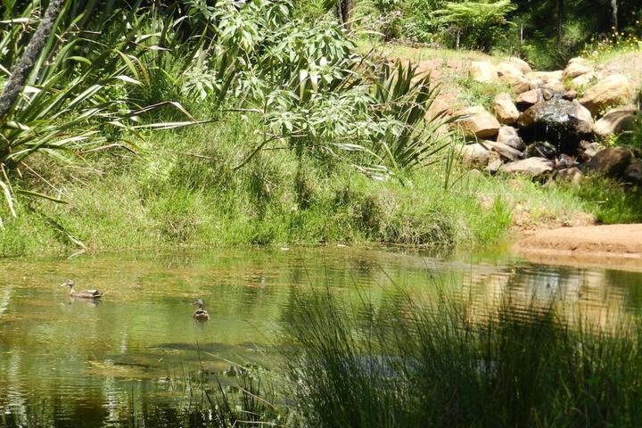 Property Grounds 34 of 45