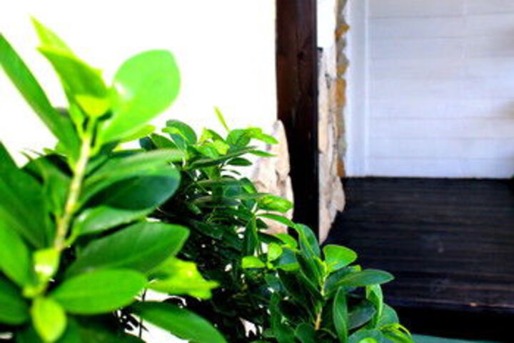 Hotel 65 of 191
