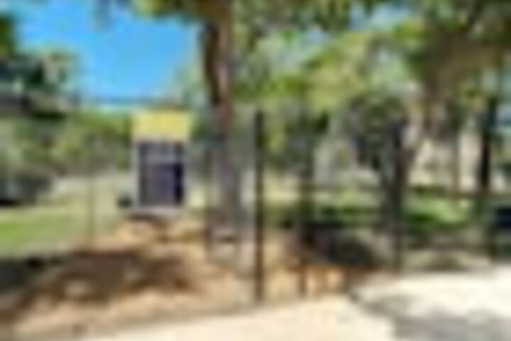 Pet-friendly amenities